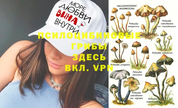 бутират Мегион