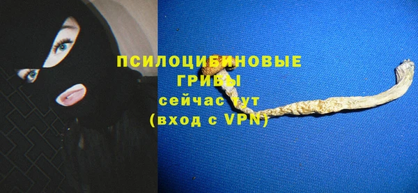 винт Медвежьегорск
