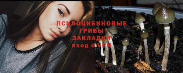 бутират Мегион
