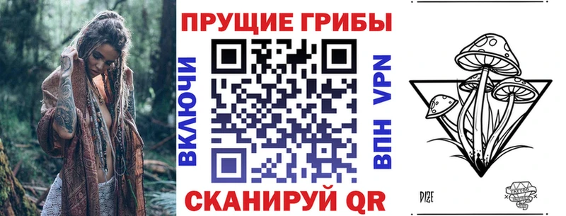 гидра вход Мантурово Псилоцибиновые грибы Psilocybe наркотики